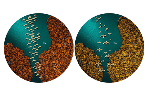 金箔工艺的文创产品